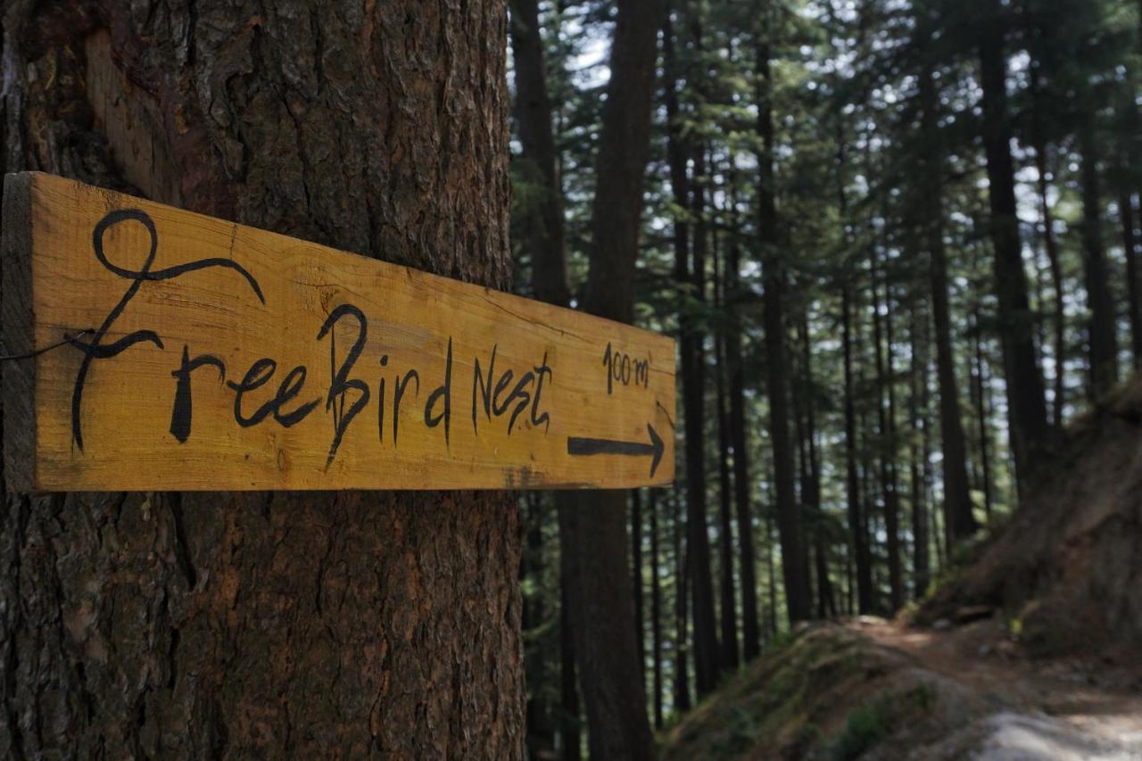 Freebird Nest Jibhi 호텔 외부 사진